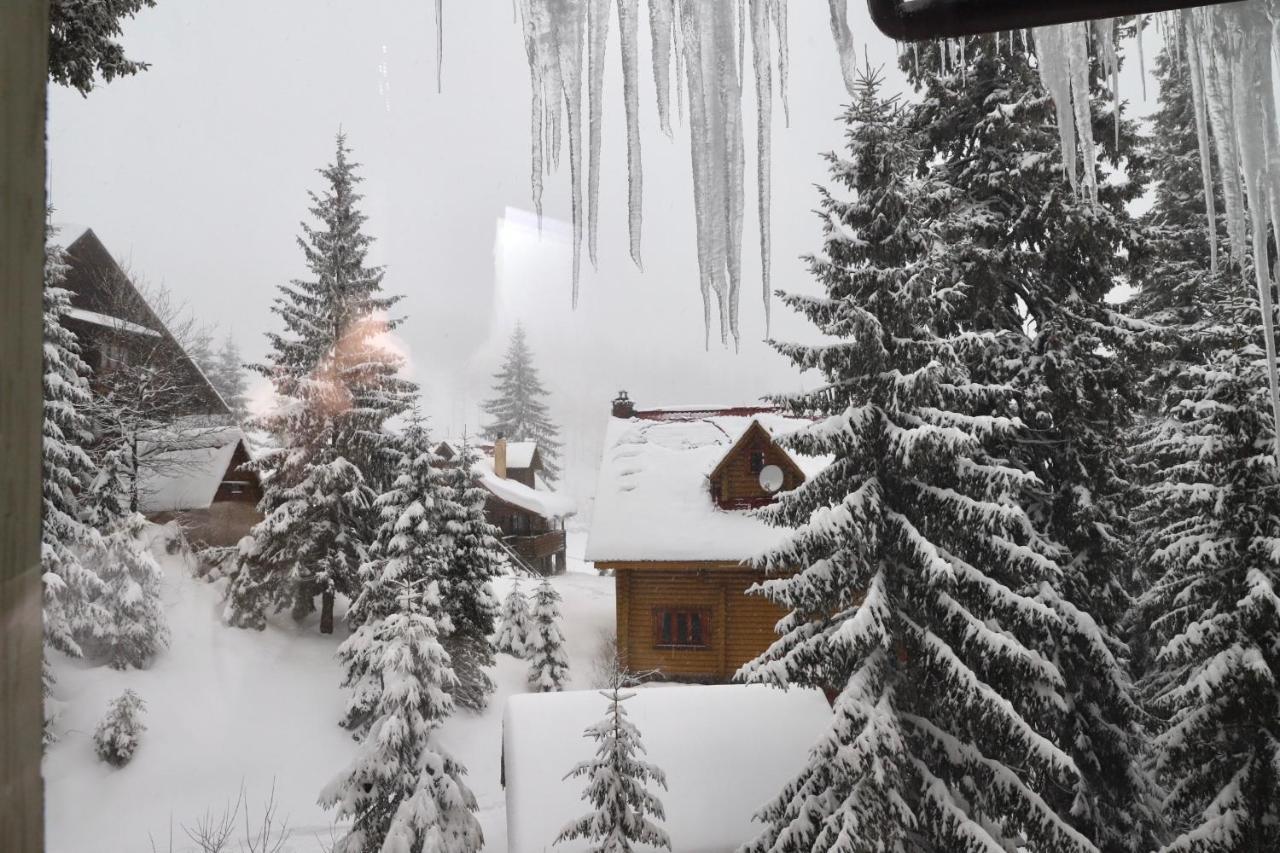 Готель Вілла Драгобрат Esterno foto