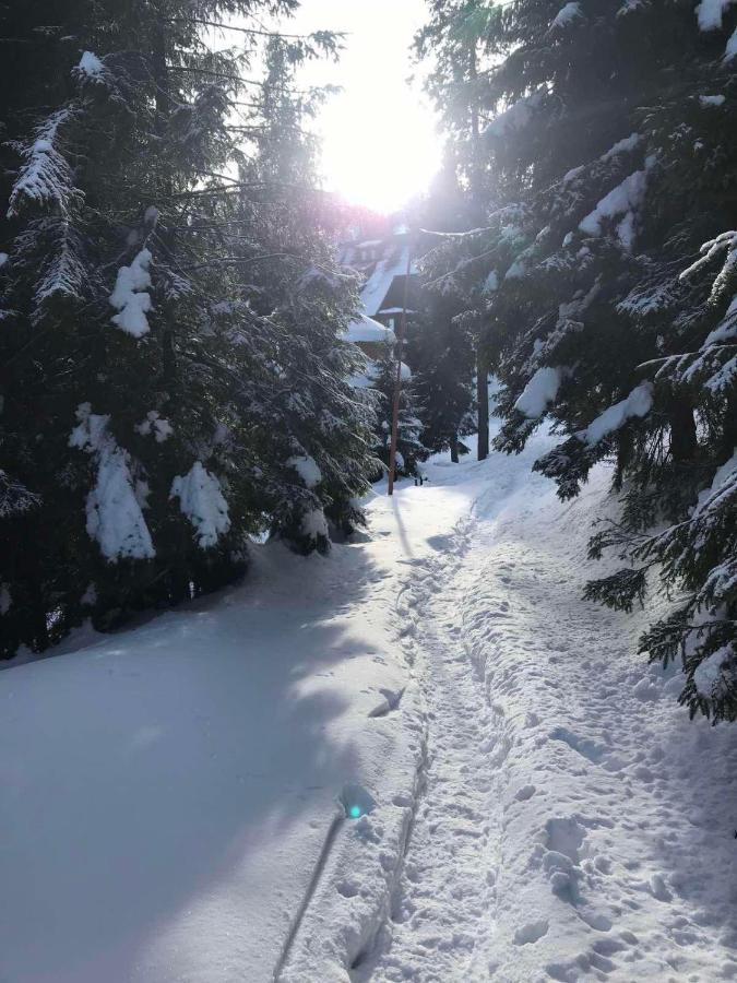 Готель Вілла Драгобрат Esterno foto