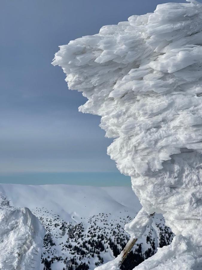 Готель Вілла Драгобрат Esterno foto