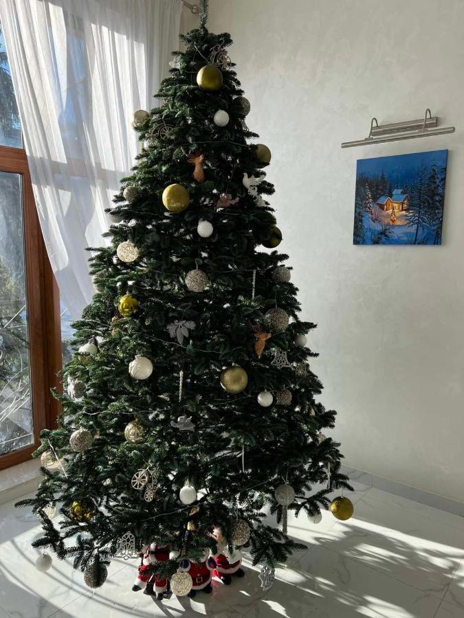 Готель Вілла Драгобрат Esterno foto
